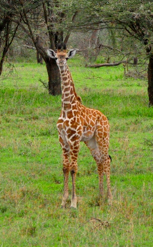 Melanie Heinrich Travel Images Africa